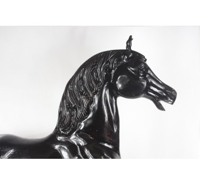Large Black Horse image 4