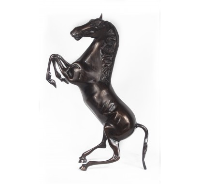 Small Brown Horse