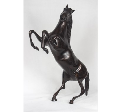 Small Brown Horse image 2