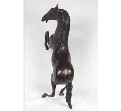 Small Brown Horse image 3