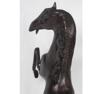 Small Brown Horse image 4